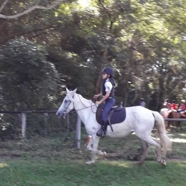 Aula de Equitação